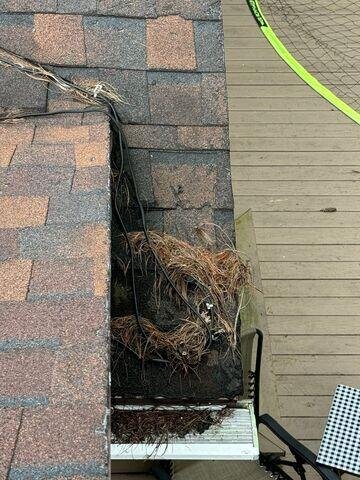 Roof damage