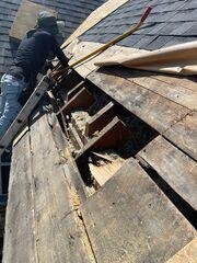 Roted wood and under decking found