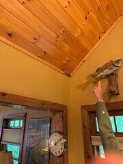 Trim rot and water damage