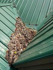 Debris forming on metal roof