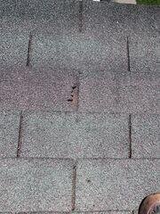 Missing shingle sections all over the roof
